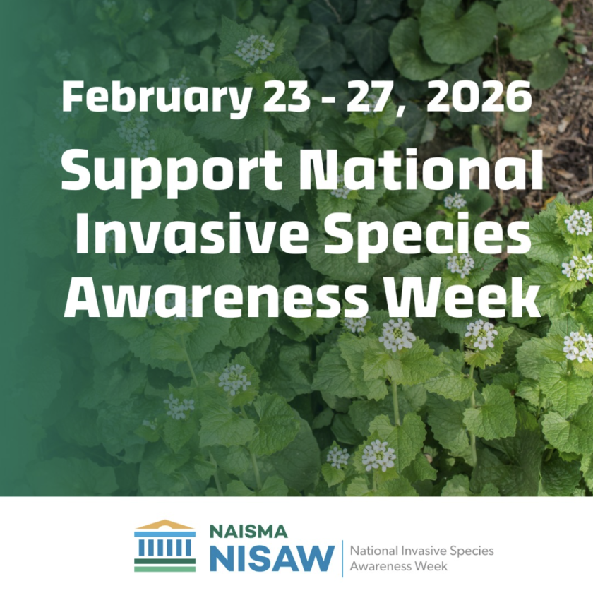 INVASIVE SPECIES AWARENESS WEEK PROVIDES OPPORTUNITY FOR EDUCATION ON PREVENTING SPECIES SPREAD