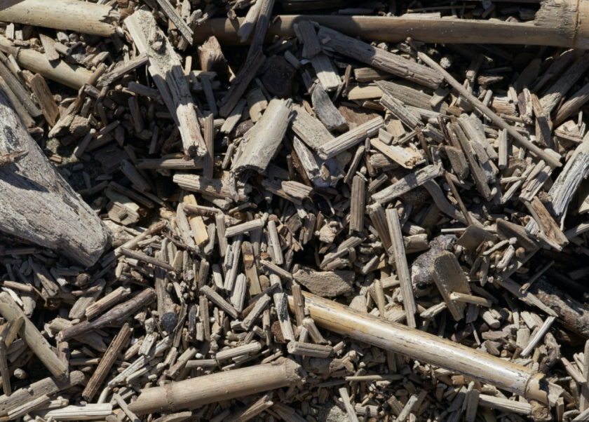 Forestry Revitalization Act Clears Way for Sustainable Aviation Fuel Plant in Northern Wisconsin